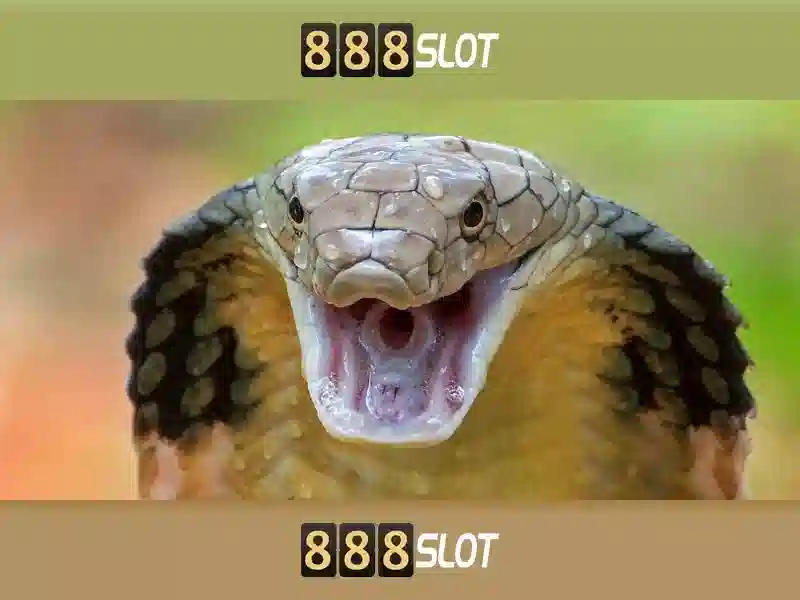 An toàn và công bằng khi tham gia 888slot