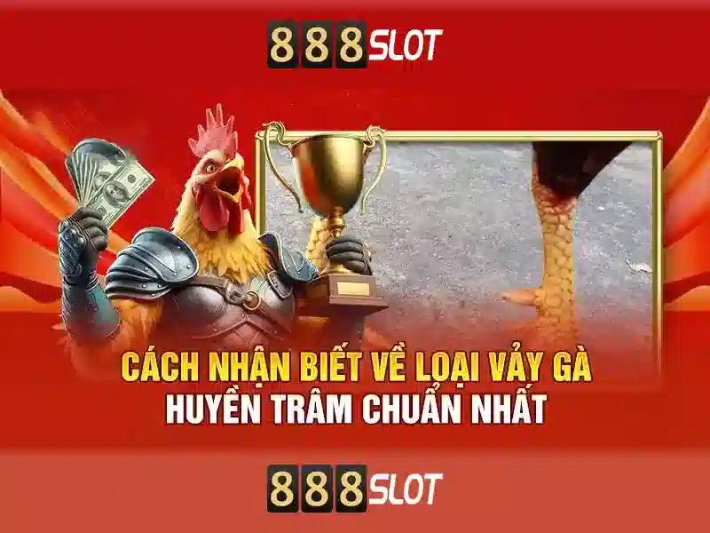 Kết luận và lời khuyên