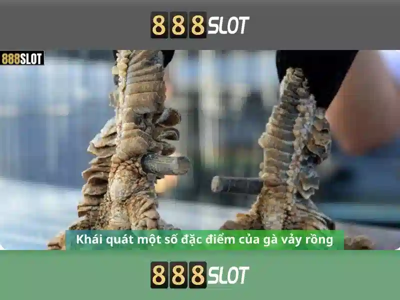 Giao diện người dùng và trải nghiệm