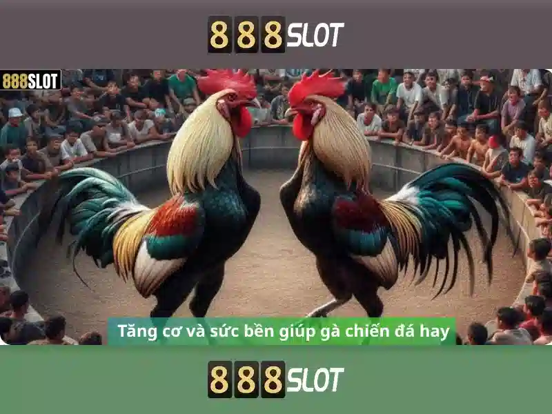 888slot – Nền tảng slot trực tuyến hàng đầu tại Việt Nam