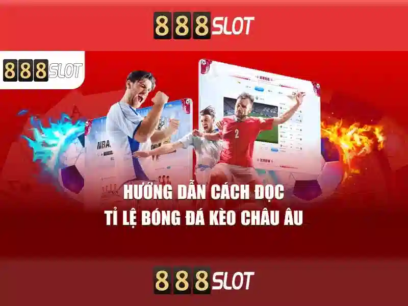 Hỗ trợ 24/7 và FAQ