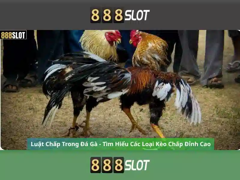 888slot: Đánh giá và tổng quan nền tảng trò chơi trực tuyến