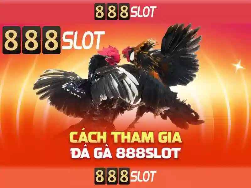 Khuyến mãi nâng cao và vòng quay miễn phí