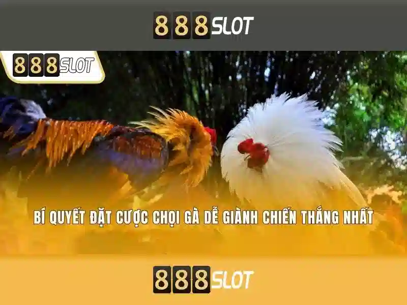 Khuyến mãi và thanh toán