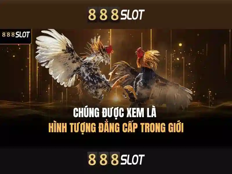 Hỗ trợ người chơi và phản hồi