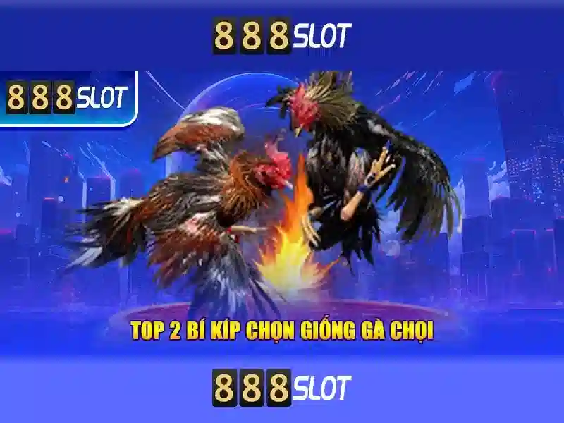 888slot - Khám phá nền tảng casino trực tuyến tại Việt Nam