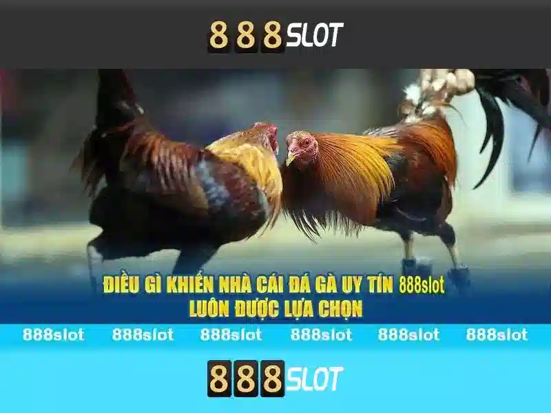 888slot - Trải nghiệm casino trực tuyến uy tín