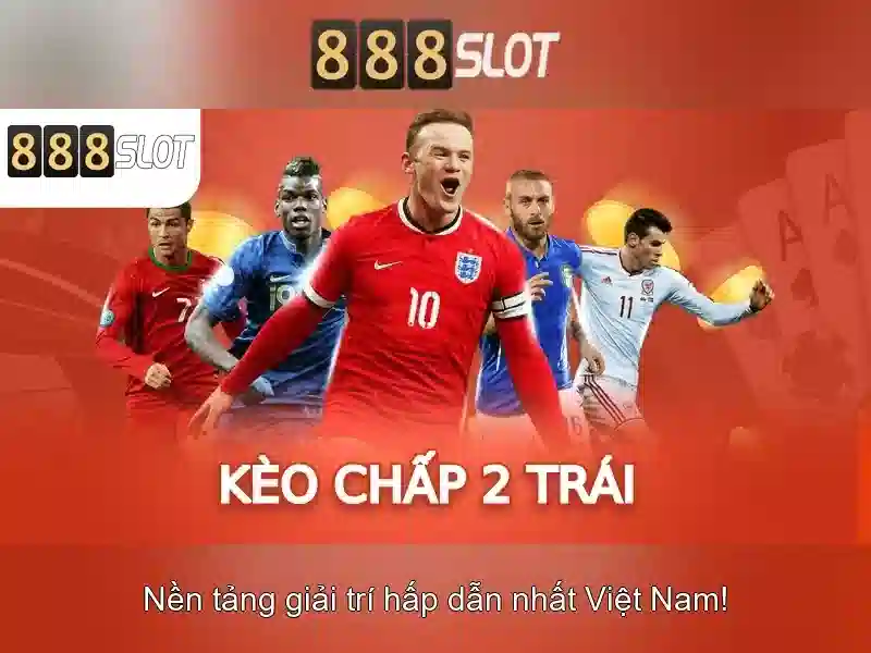 Khuyến mãi và chương trình thưởng