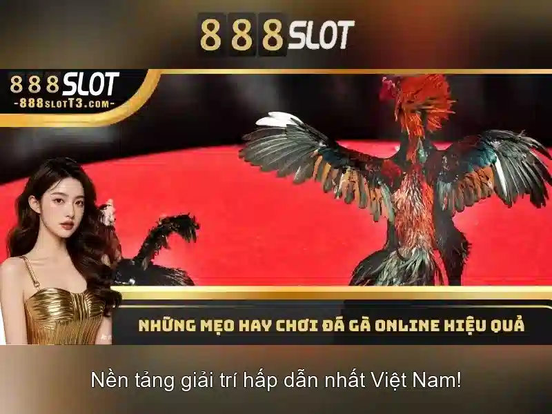 888slot: Đánh giá và trải nghiệm người chơi
