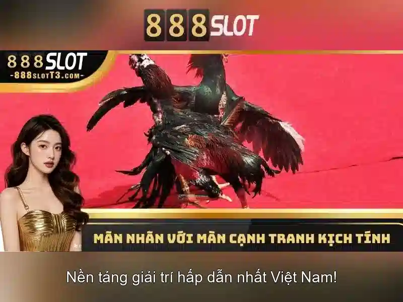 888slot - Đánh giá và trải nghiệm xổ số trực tuyến
