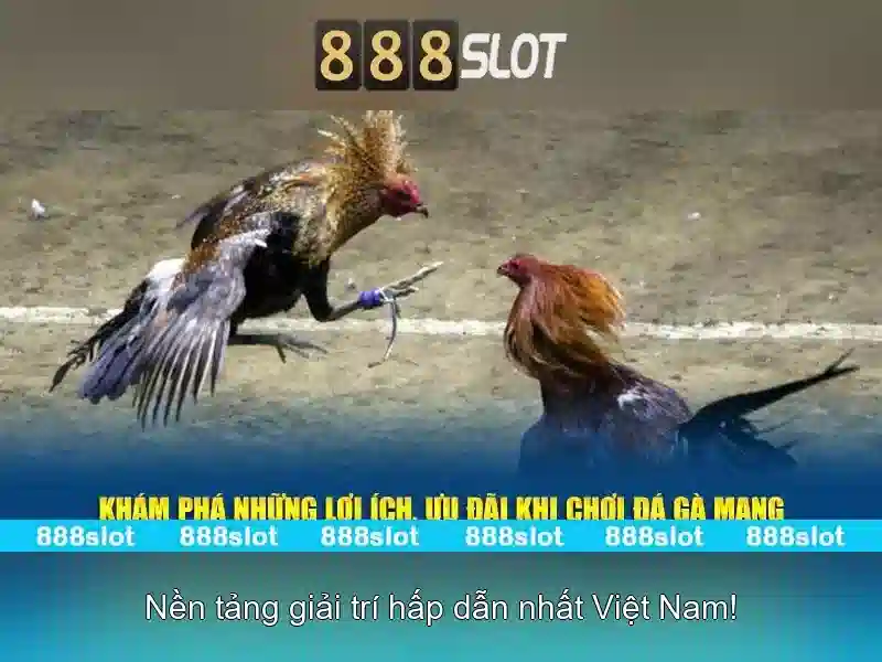 888slot - Cổng trò chơi máy slot trực tuyến được yêu thích