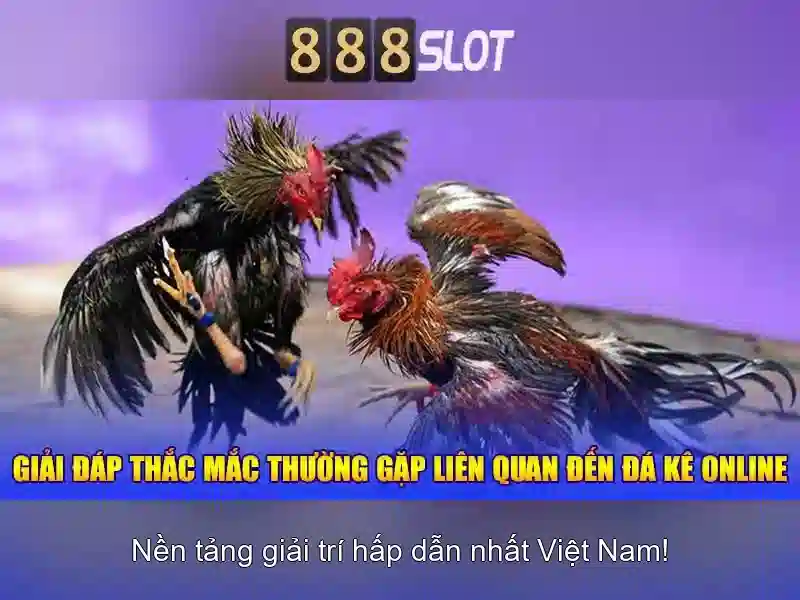 888slot - Trải nghiệm casino trực tuyến uy tín