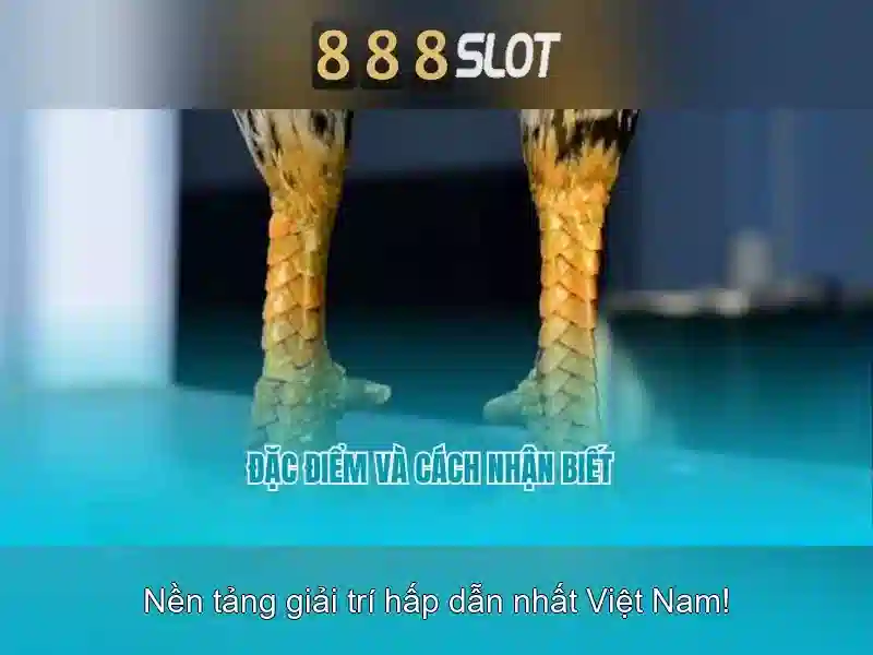 hoa-hong-888slot