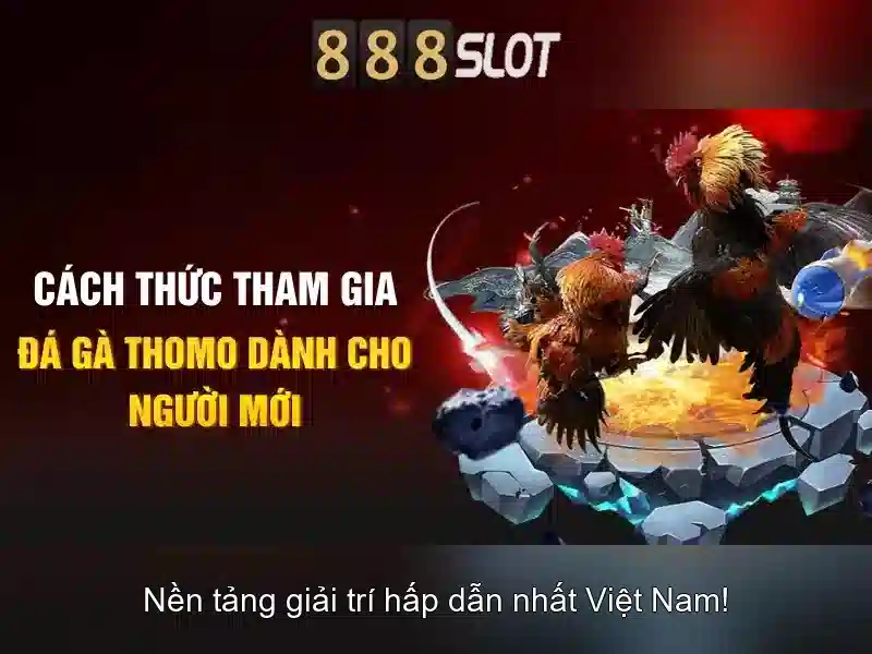 Giao diện và trải nghiệm người dùng