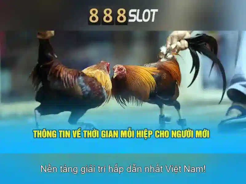 888slot: Đánh giá nền tảng casino trực tuyến và trò chơi máy xèng