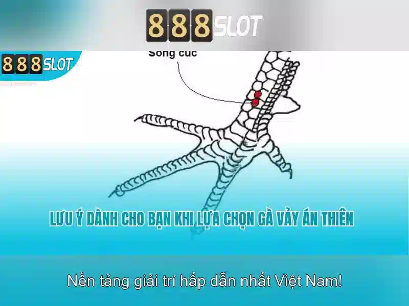 Trải nghiệm người dùng và thanh toán