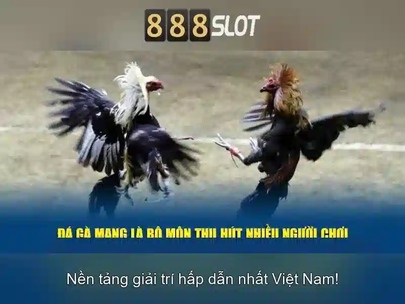 Tổng quan về 888slot